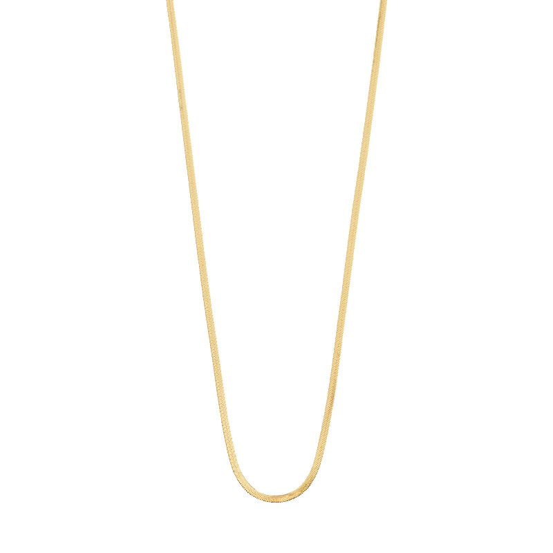 Gold chain necklace on a white background