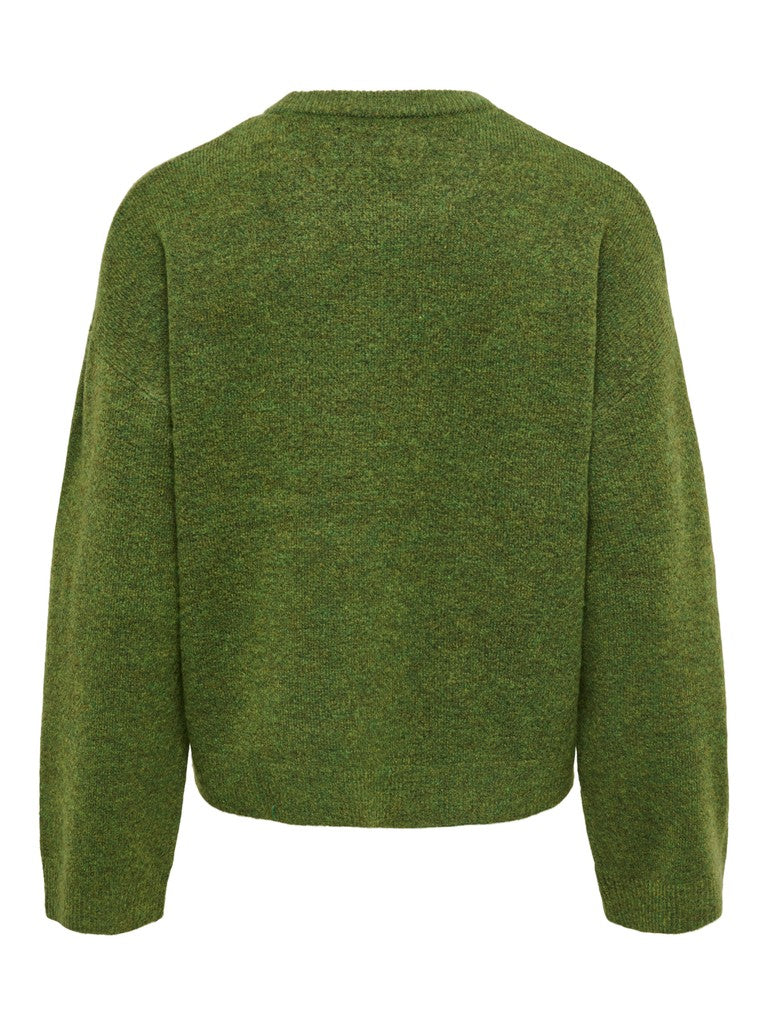 An olive green knit sweater shown from the back, featuring a crew neck and long sleeves, photographed against a solid white background.