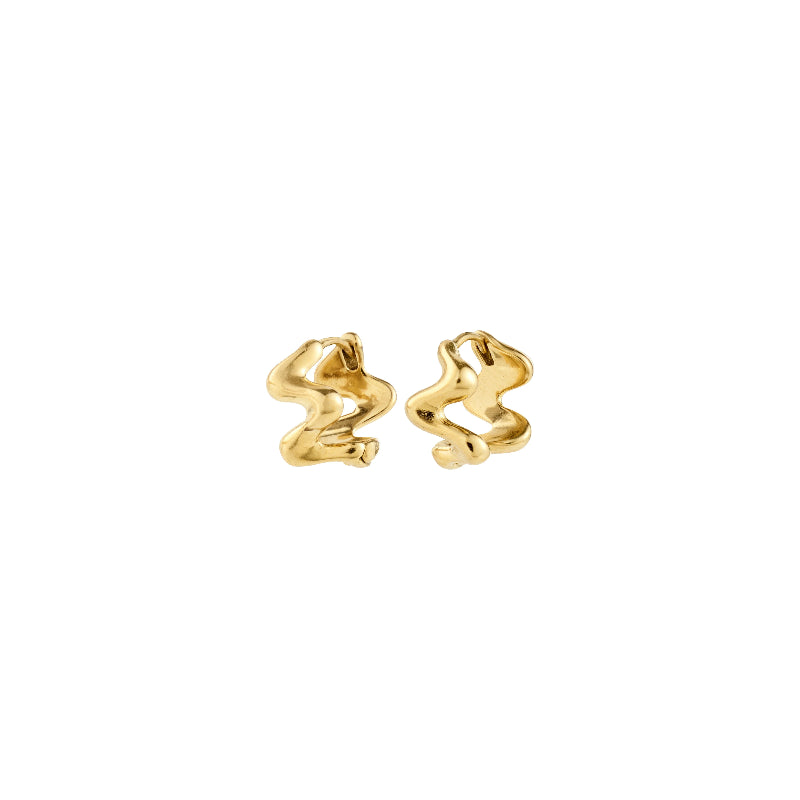 Pair of gold earrings on a white background