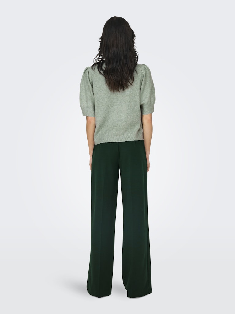 Woman wearing a green top and dark green wide-leg pants on a white background