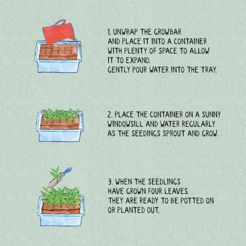 Step-by-step guide for using a growbar with illustrations and text on a light green background.