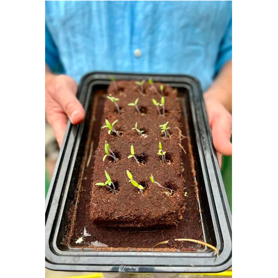 THE GROWBAR COCKTAIL MIX