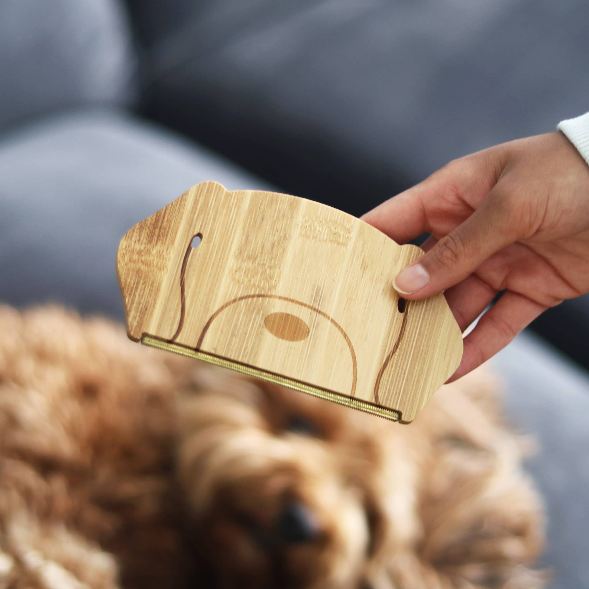 bamboo dog hair remover 