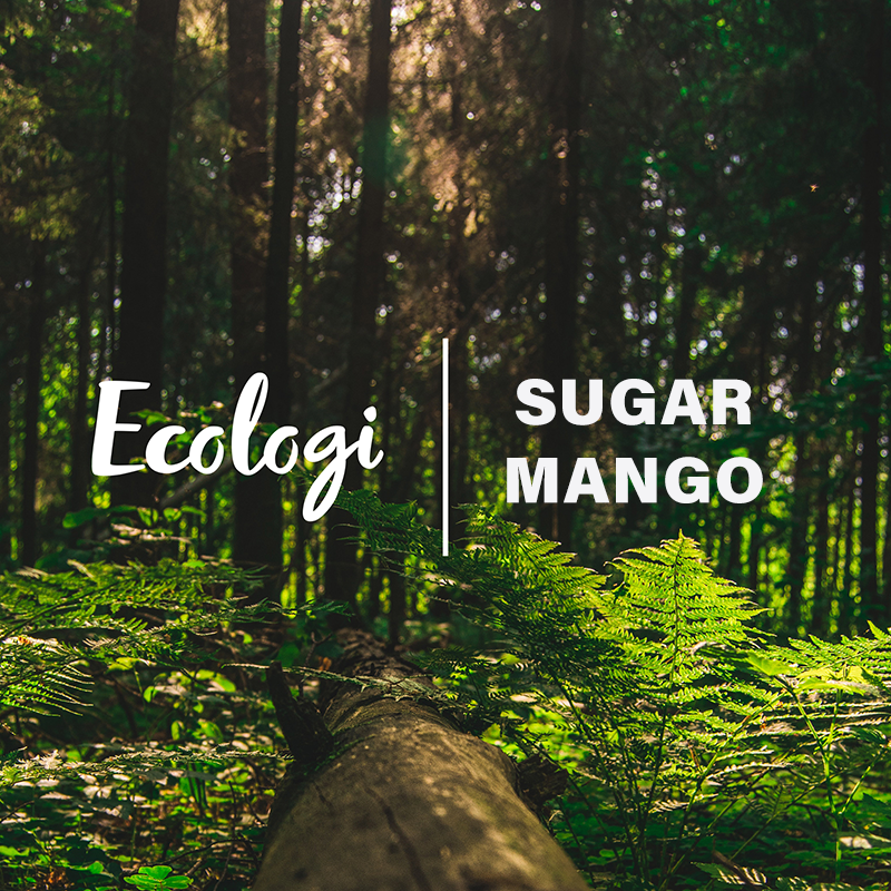 ecologi and sugarmango planting trees