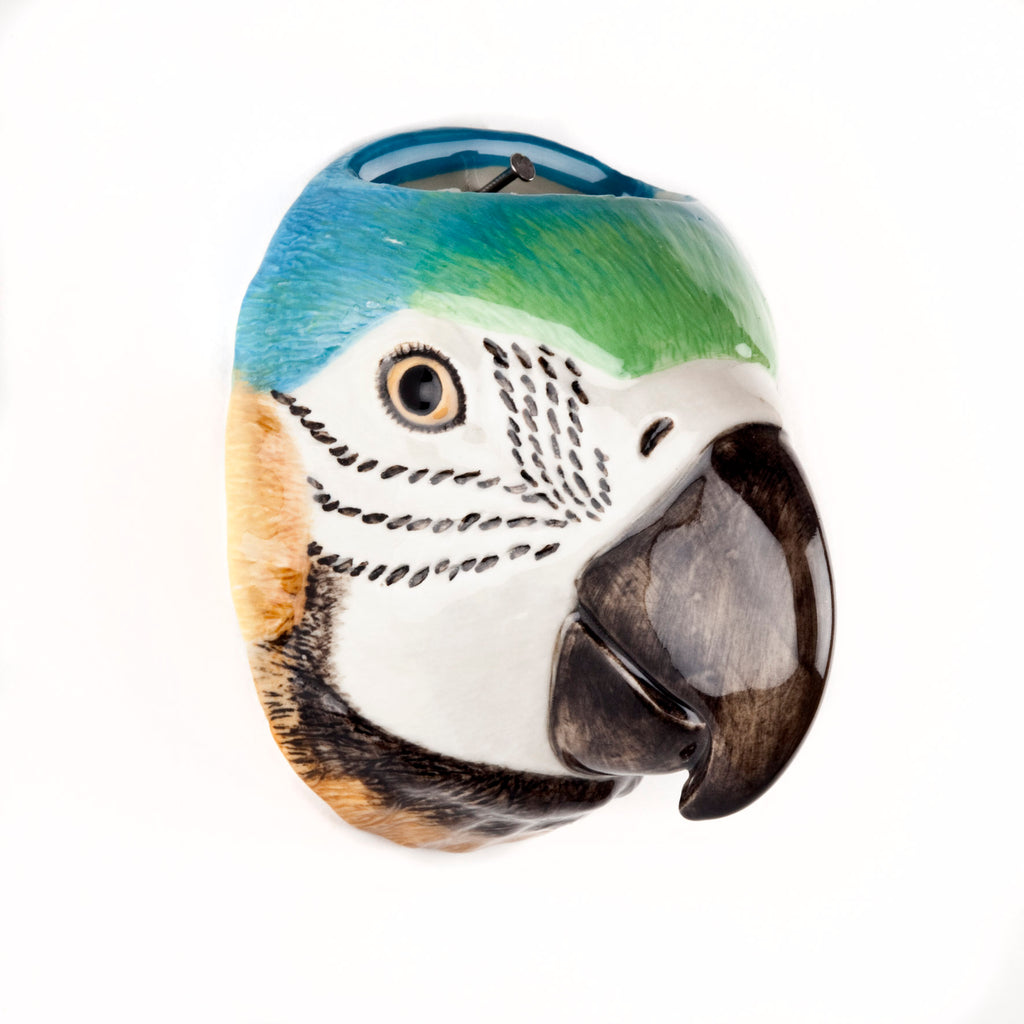 Quail Macaw wall vase