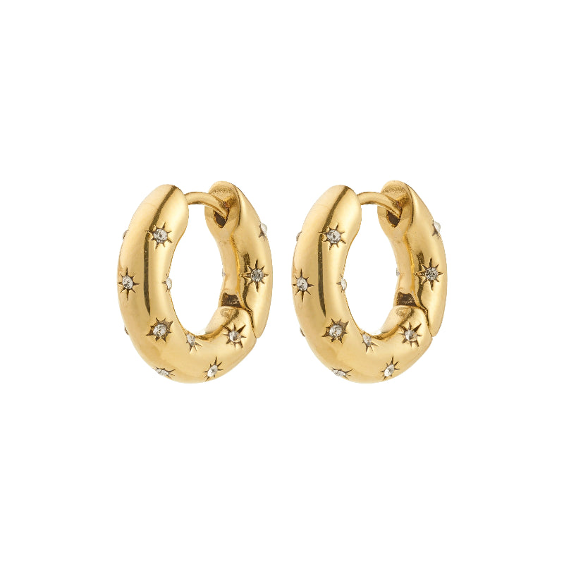 Pilgrim Nevaeh Earrings Gold-plated