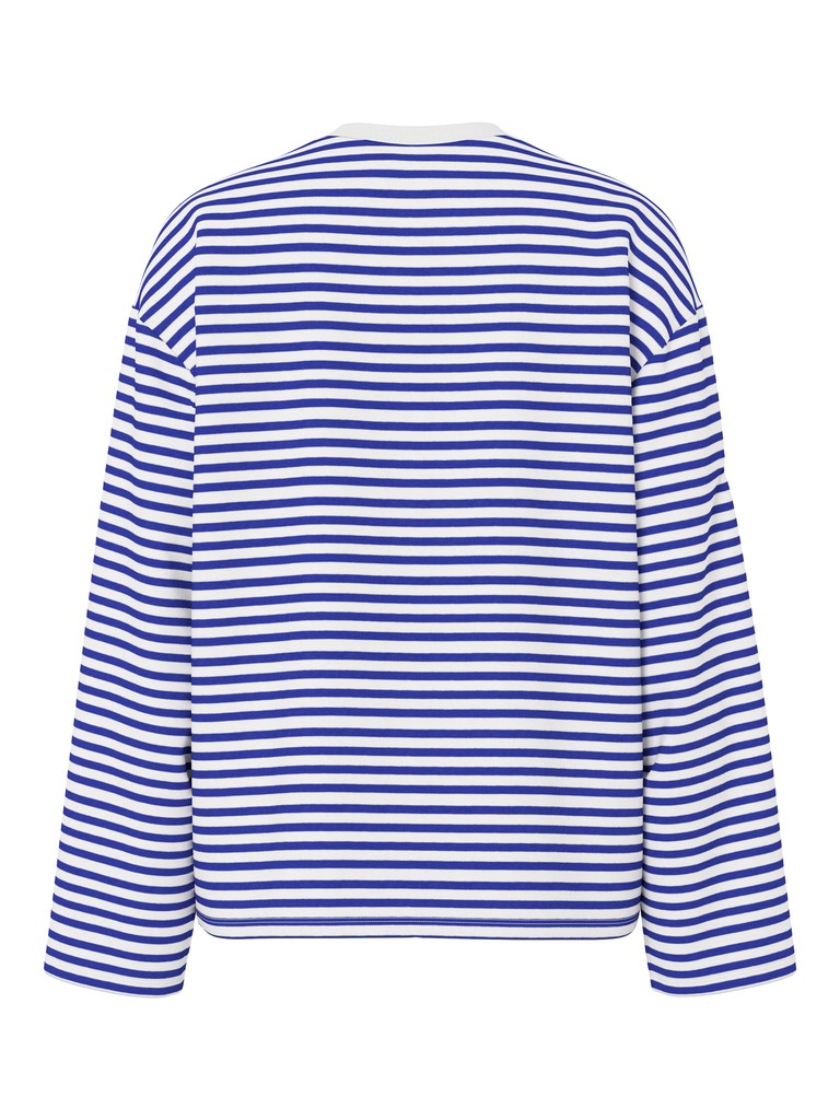 A long-sleeve crewneck top with horizontal blue and white stripes, shown from the back on a plain white background.