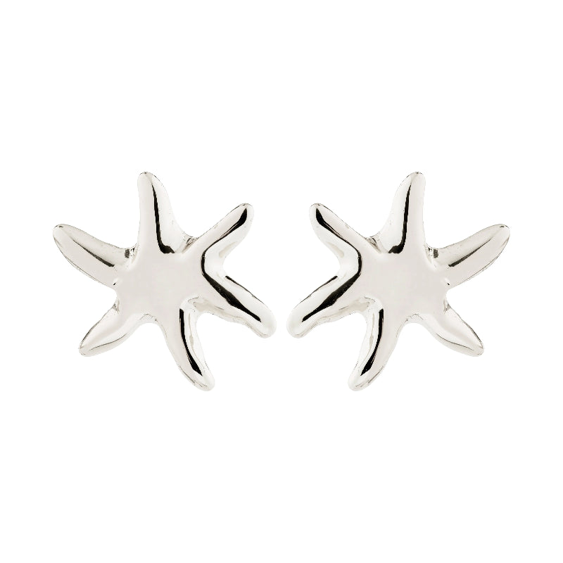 Silver starfish earrings on a white background