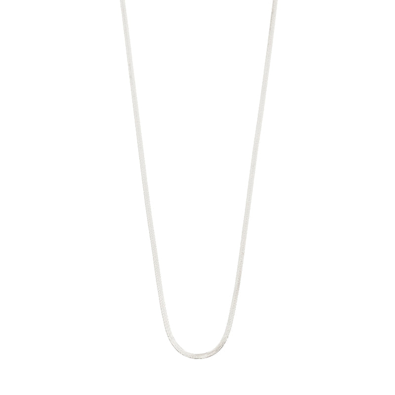 Silver cordon a white background