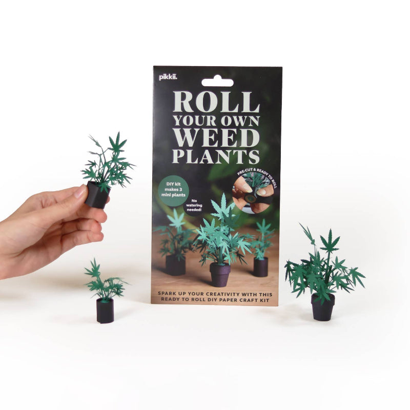 Roll Your Own Weed Plants craft kit with packaging and small plants on a white background