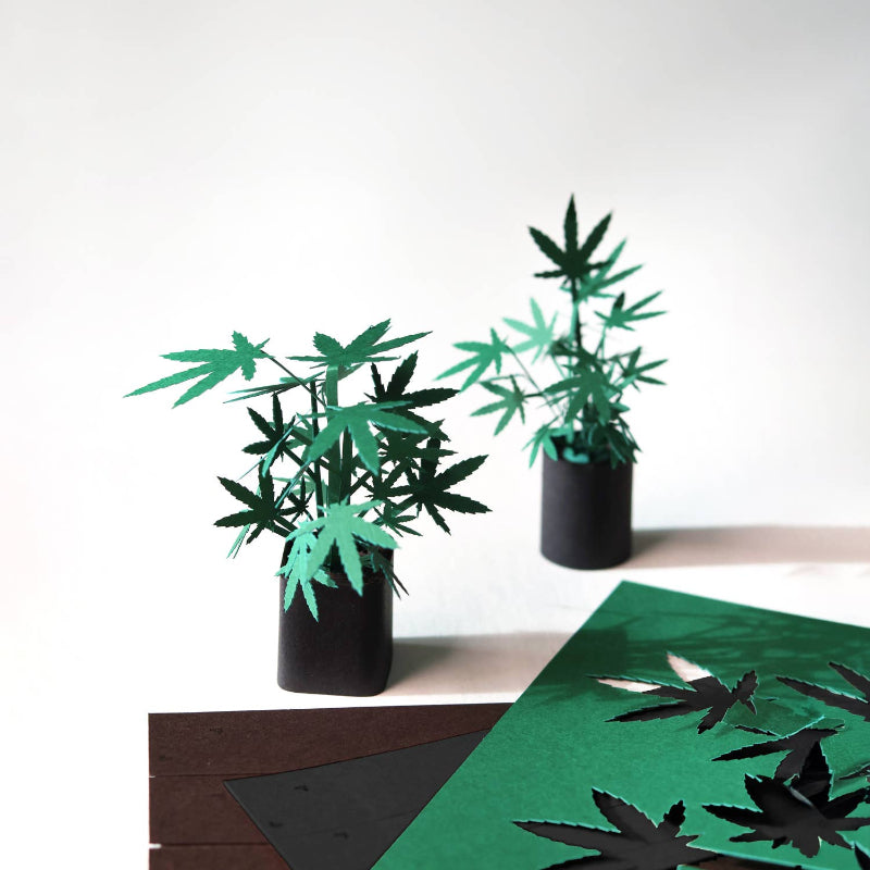 Artificial plants with cannabis leaf design on a white background