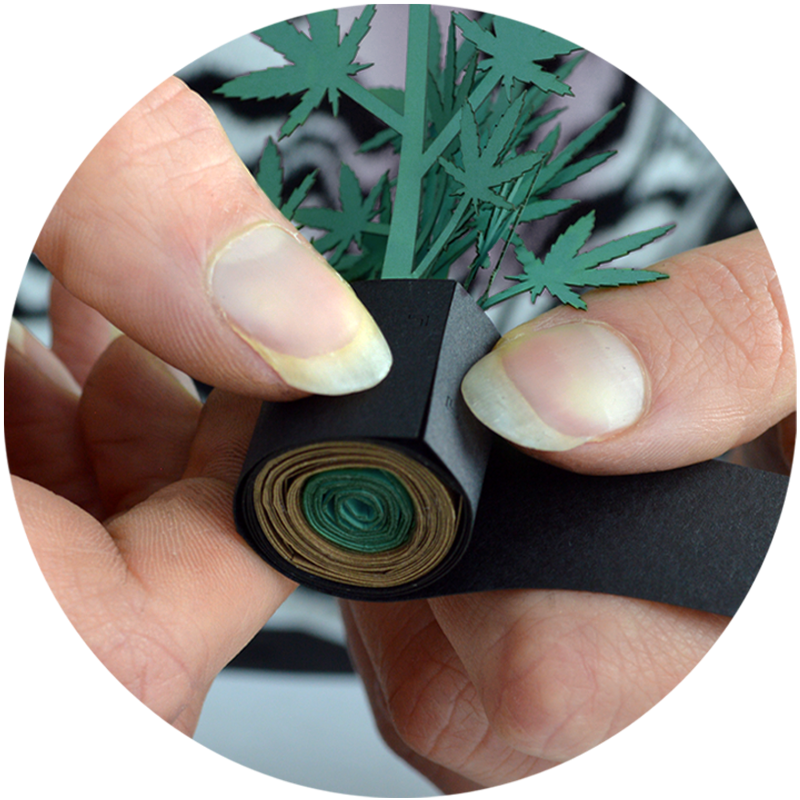 Hand holding a small black vase with greenery, close-up view Roll Your Own Weed Plants Paper Kit