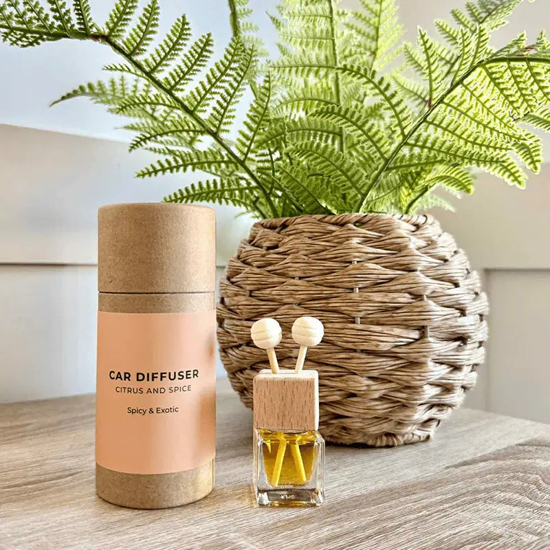 Close up of a reed diffuser with a plant on a neutral background