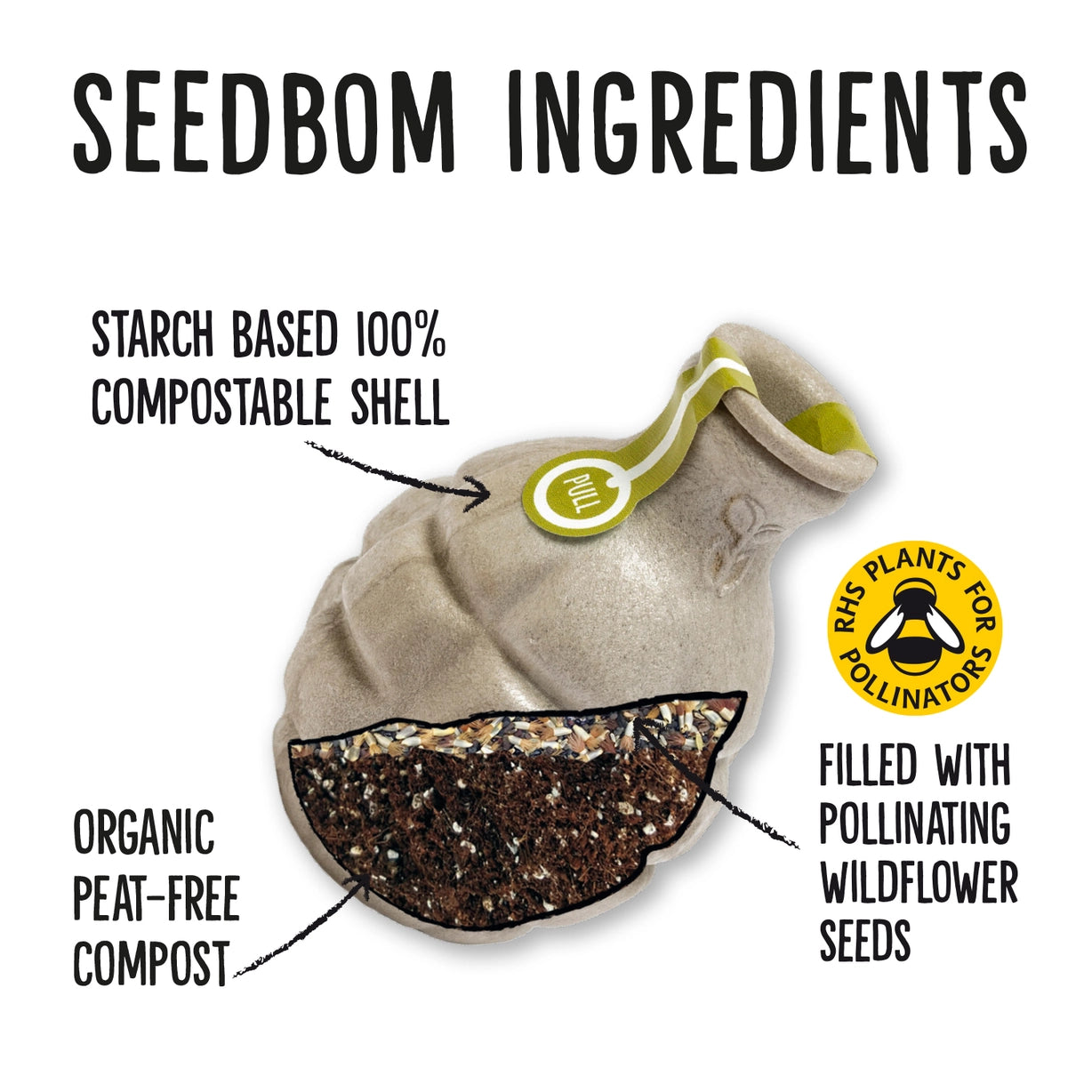 KABLOOM SEED BOMB STOCKIST BOURNEMOUTH