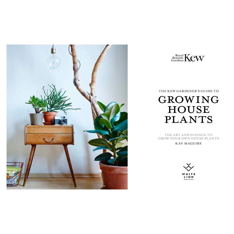 Kew Gardens Guide To Growing House Plants page