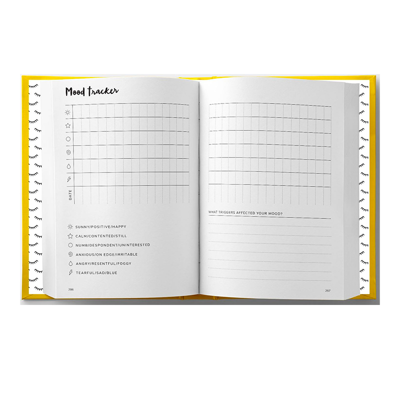 the Positive Planner book mood tracker page
