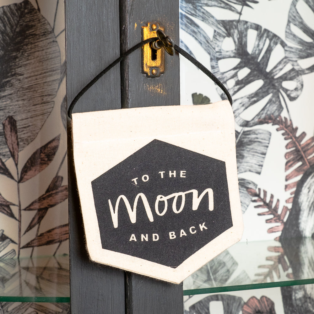 Mini hanging banner To the moon and back