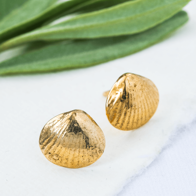 shell earring studs gold
