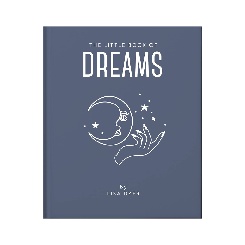 little book of dreams by lisa dyer