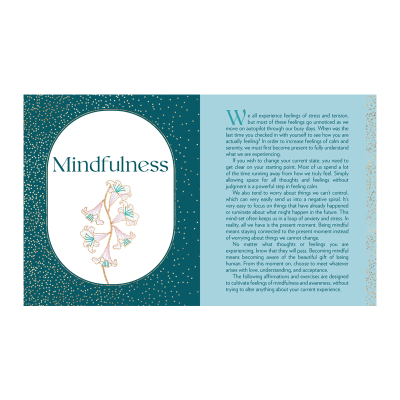 mindfulness clam book of affirmations