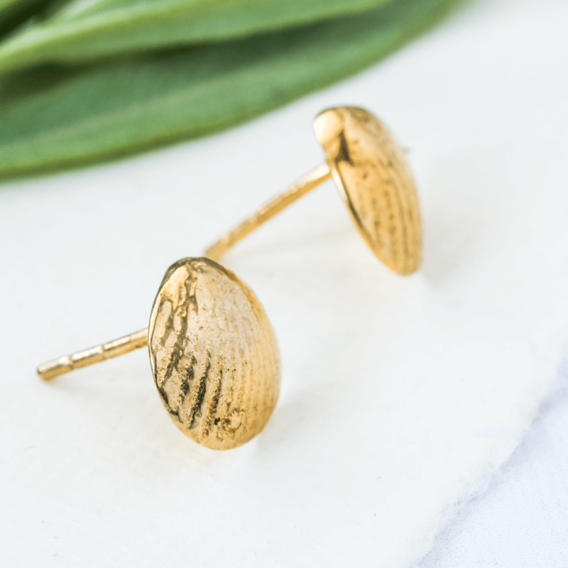 gold shell earrings post