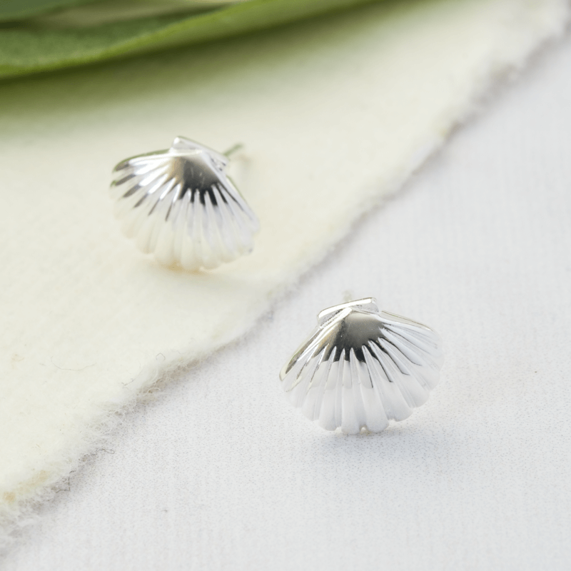 shell stud earrings silver